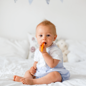 baby led weaning que es